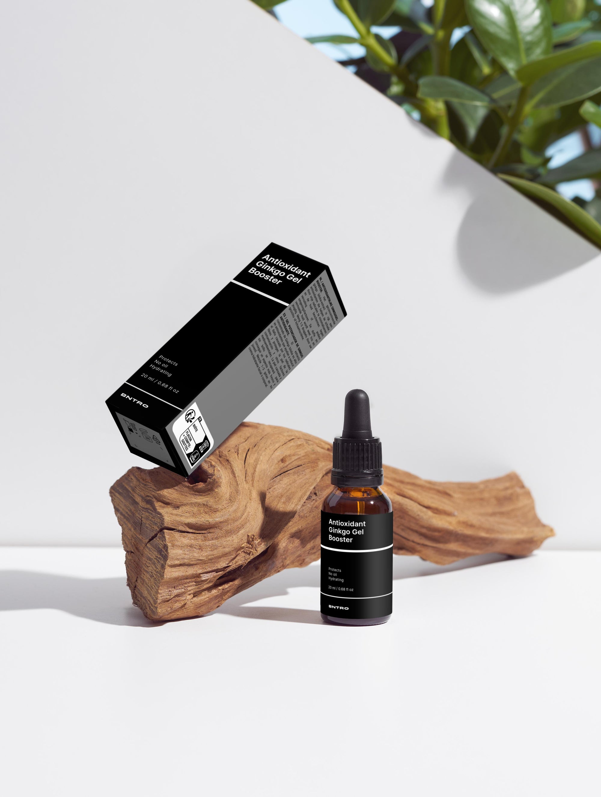 Antioxidant Ginkgo Gel Booster